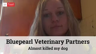 Bluepearl Veterinary Partners - Almost killed my dog