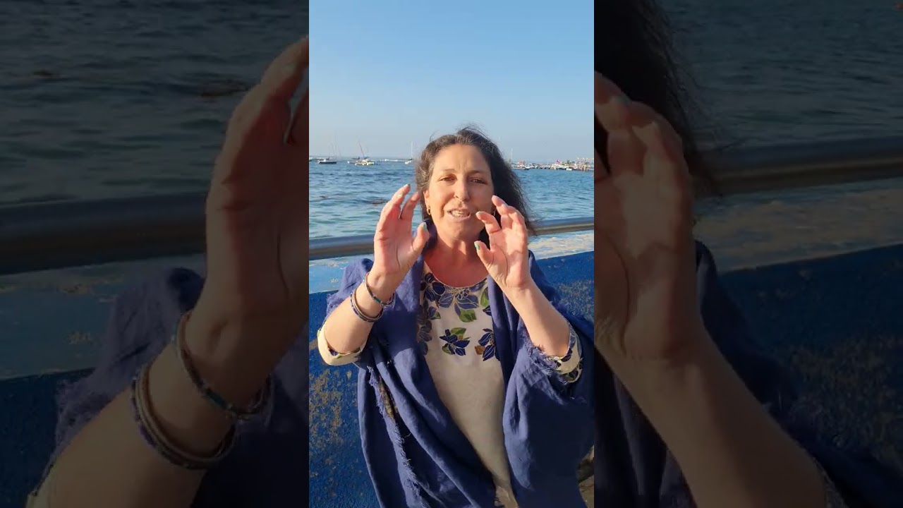 Romy Bravovisch Froimovich-14