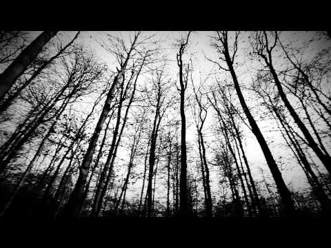 Tua: Raus (Official Video)