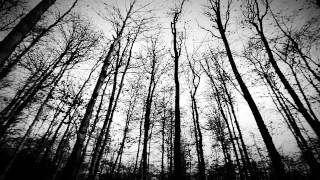 Tua: Raus (Official Video)