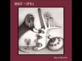 Built to Spill   the Wait