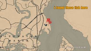 RDR2 daily challenge: Cooked Seasoned Flaky Fish