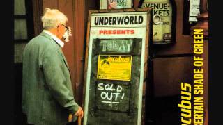 Incubus - Deep Inside (Live in Chicago) - A Certain Shade of Green