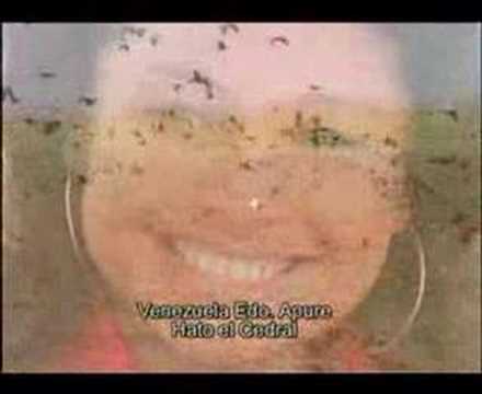 jorge guerrero petra narcisa