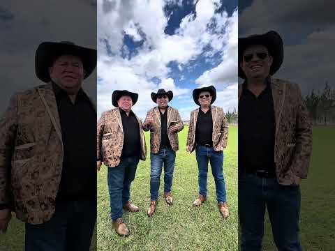 Los Tres Huitecos Yeguada La Estancia