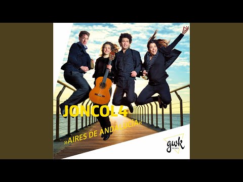 Una luz del norte (Version for Vocals, Guitar Duo & Percussion)