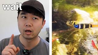 this killifish fell IN LOVE with a PUFFERFISH | Fish Tank Review 344