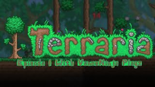 THE ANGRY DANDELION | Terraria #1
