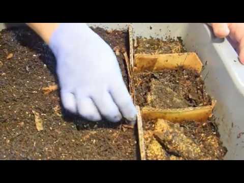 Check-in at day-9, day-109, day-111, day-119 & day-166