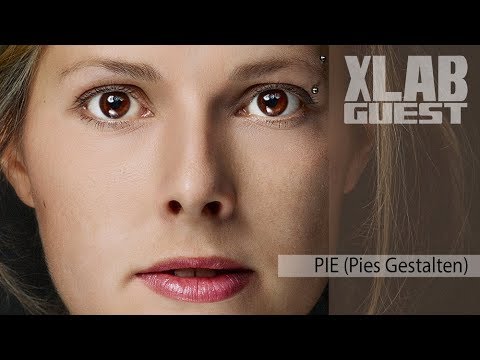 XLAB-GUEST Pie