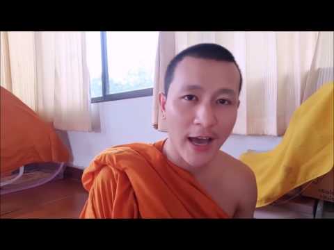 สมาชิกขนาดเล็ก 10 ปี เห็ดและความแข็งแรง