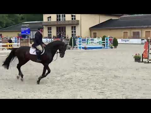 Cornetino ( Cornet Obolensky- Indoctro )