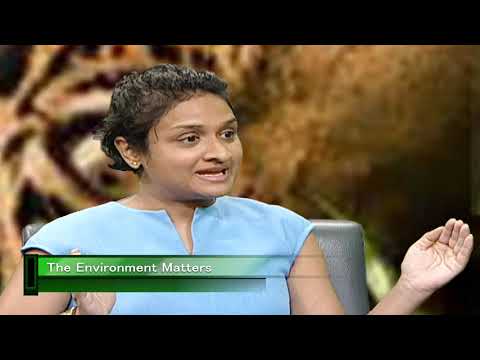 The Environment Matters May 2019