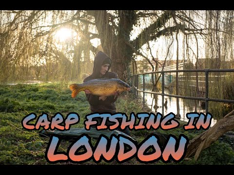 CARP FISHING IN LONDON- Coppermill Stream