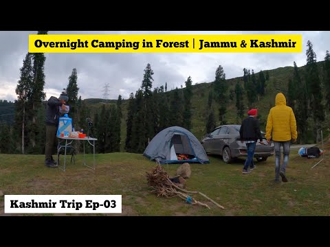 Overnight camping in forest | Jammu and Kashmir | Camping in india | Patnitop | Kashmir trip Ep 03