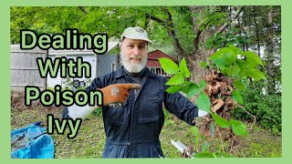 Dealing With Poison Ivy Removal
