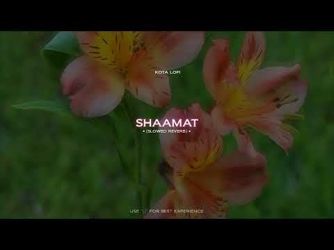 Shaamat | Slowed Reverb | Ek Villain Returns | Ankit Tiwari | Tara Sutaria | Kota Lofi