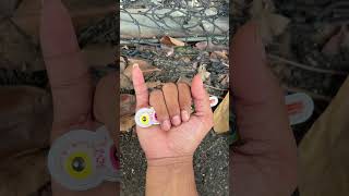 Download lagu So cutie π°π«π«ππ£π v682 mp3 Download lagu So cutie π°π«π«ππ£π v682 mp3