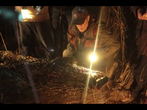 Proie (Добыча) (La Traque) (Prey) (A.Blossier, France, 2010) - Bande-annonce - Official Trailer 2