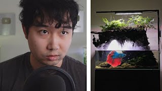 they made a CAVERN Fish Tank | Fish Tank Review 248