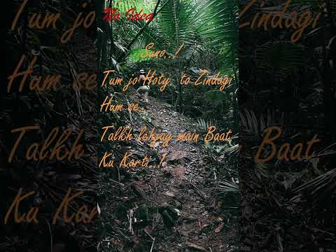 Best Two Lines by (Najeeb Khan)