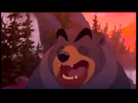 Tierra de Osos Momento del Oso Morado en el salto del salmon