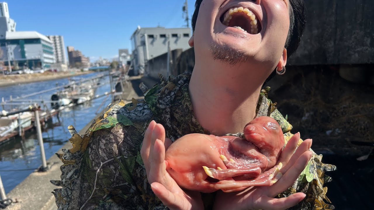 鹿の腹子を素揚げで食べてみると…