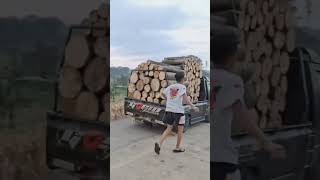 Download lagu NASIB SOPIRNYA GIMANA😱STORY WA L300 #l300 #l300modifikasi #driver #shorts #storywa #viral #trending mp3 Download lagu NASIB SOPIRNYA GIMANA😱STORY WA L300 #l300 #l300modifikasi #driver #shorts #storywa #viral #trending mp3