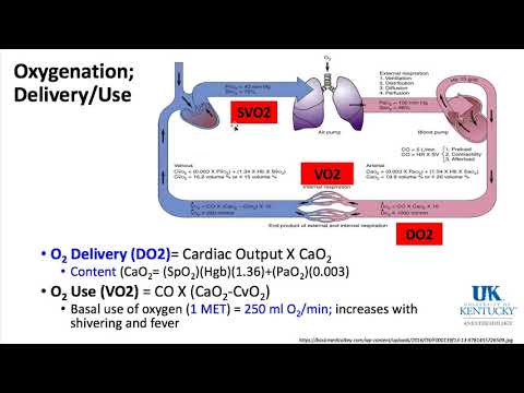 Keyword Review 2019 | Respiratory Anatomy, Physiology & Thoracic (part 2 of 5) - (Dr. Schell)