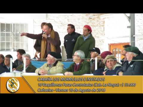10-08-18 Venta de Hembras P.C. - Cabaña Los Murmullos e Invitados - Cañuelas