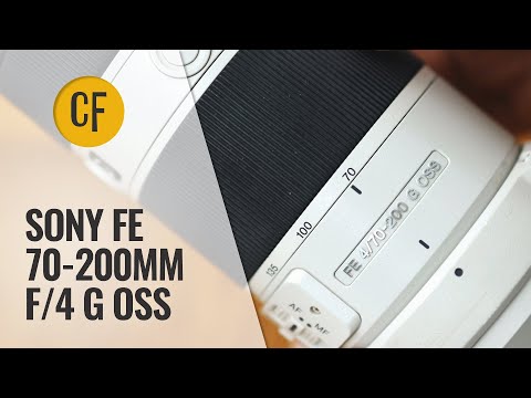 Video thumbnail for Video Review 1