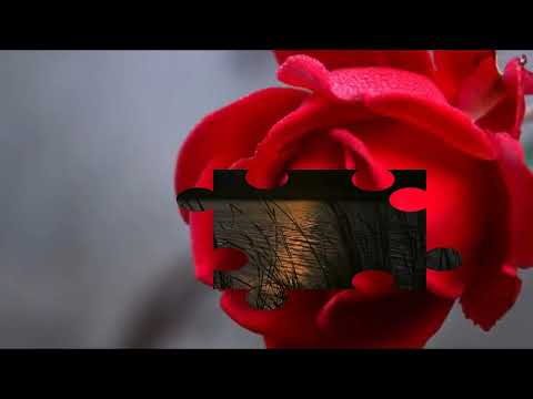 Nicu Petrescu - Cînd ochii mei privesc spre Tine - mel Nicu Petrescu