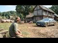 Best Family Comedy Movie FULL FILM WATCH FOR FREE Movies On YouTube In English