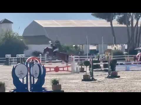 Cocolino (COMME IL FAUT) et Edwin Smits - 4e de la finale des 6ans au CSIYH d'Oliva