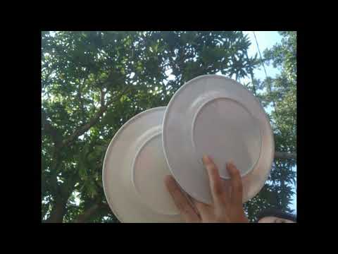 𝐂𝐀𝐑𝐑𝐘𝐈𝐍𝐆 𝐏𝐋𝐀𝐓𝐄𝐒