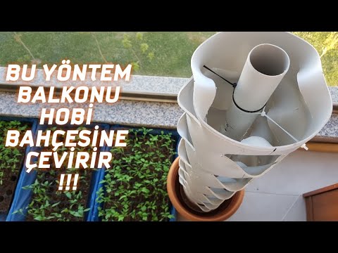 , title : 'PVC Boruda Çilek, Marul ve Sebze, Nasıl Yapılır'