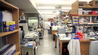 UCLA Cousins Center for Psychoneuroimmunology