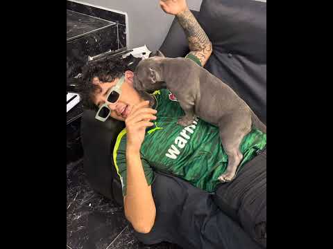 [SATILIK] Reckol x Jeff Redd x Hazey Type Beat | Afro Drill Type Beat 2024