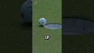 He Won $2 Million Thanks To A Fly 😵 (@pgatour)