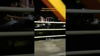 Download lagu Status WA Mohon Maaf Lahir dan Batin || Soundtrack DJ Tik Tok Viral mp3