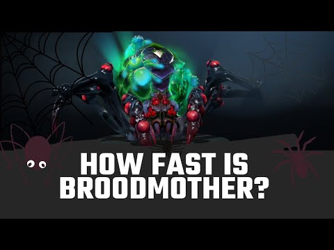 How fast is Broodmother in Grandmaster tier? - DOTA 2