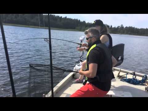 Kesähauen kalastusta Eumer Fishing Centerissä - Kalastusopas - Kalastusretki - Hauenkalastus