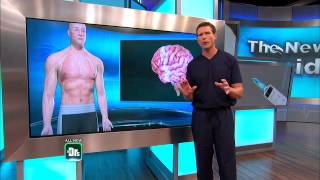 How heroin affects the mind and body -- The Doctors