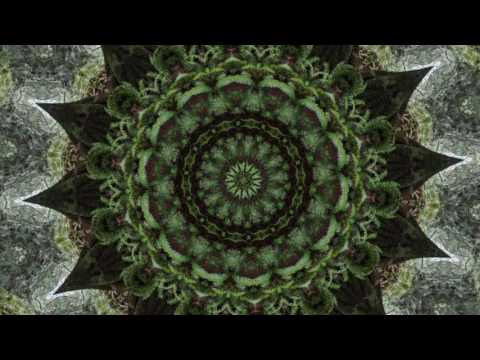 Minha Mãe Yemanjá - Mantric Mambo | escolacosmica.app.br