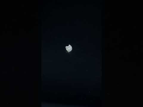 YouTube 썸네일