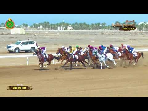 الشوط الأول - السباق السابع عشر- الرحبة 14/03/2019 Race 1-17th meeting