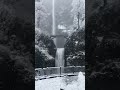 Winter Morning at Multnomah Falls in Oregon! #pnw #travel #nature