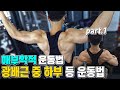 등 운동 광배근 중 하부 운동루틴을 해부학적인 설명과 함께!(part.1) 알아가세요