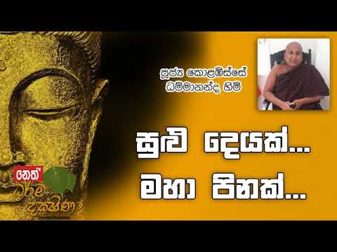 Darma Dakshina 2019.07.11 - Kolabisse Dhammananda Himi