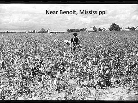 Mississippi Delta - Birthplace of the Blues